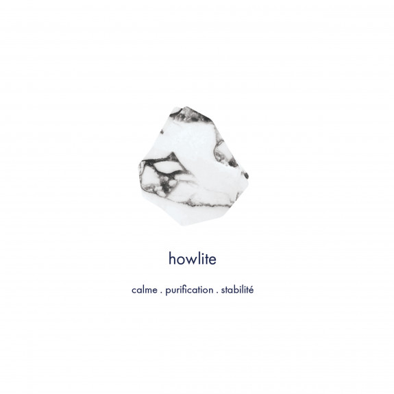 Boucles d'oreilles Pampille - Howlite